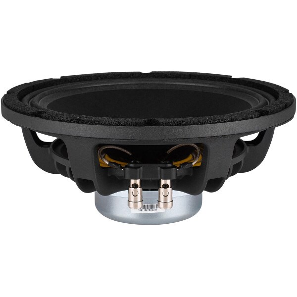Main product image for RESTOCKED LaVoce WAN102.50 10" Neodymium Woofer 88-293-717